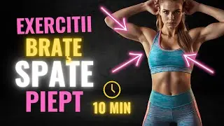 Exerciții Pentru Brațe, Spate, Umeri și Piept Acasă | Antrenament Complet Pentru Corpul Superior