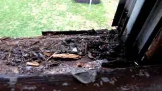Window repair 101 Inside View Tear Down, assessing water damage.