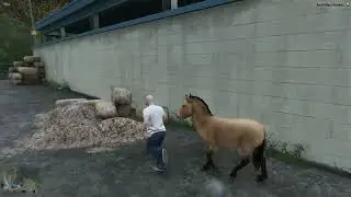 FiveM Future Horse System