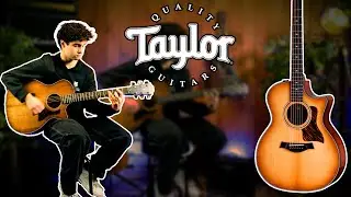 Taylor 50th Anniversary 314ce LTD DEMO | Souman Music