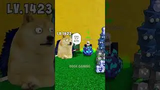 i actually won😭😭| Doge Gaming