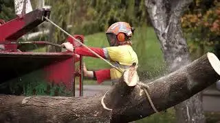 Value Of Training | TreeTech Arboriculture New Zealand