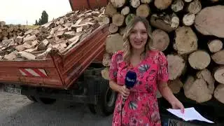 BOJE JUTRA - Koliko koštaju drva za ogrijev | Vijesti Online