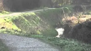 Whisby Nature Park 3