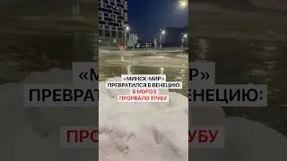 &laquo;Минск-Мир&raquo; превратился в Венецию: в мороз прорвало трубу и затопило всю улицу!