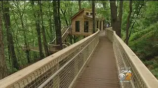 Kidsburgh: Treehouse Classroom Unique Way For Kids To Learn Outside