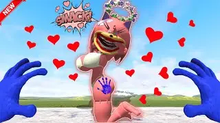 NEW Sonic x Amy EPIC Love Story In Garry's Mod!