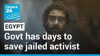 Egypt has days to save jailed activist Alaa Abdel Fattah's life, Amnesty chief warns &bull; FRANCE 24