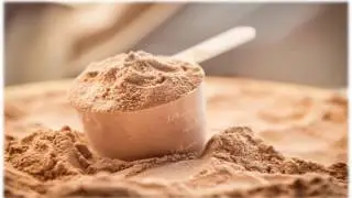 Whey Protein Market 2016-2021 | Industry Analysis, Trends, Size, Report and Forecast