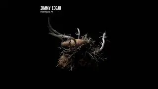 JIMMY EDGAR - Fern Portal
