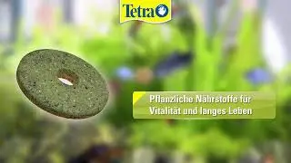 Tetra FunTips