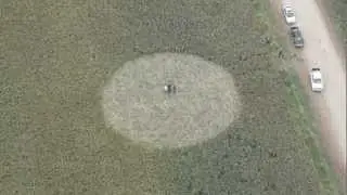 New crop circles - Las Perdices, The Partridge, Argentina 25 April 2012