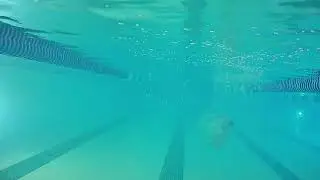 Butterfly Fish Kick Left No Equipment Slight
