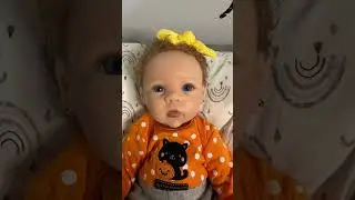 Looking back with my Reborns dolls in 2025 part 10 #reborn #doll #rebornbaby