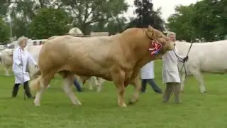 Royal Three Counties Show, Highlights 2015