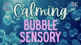 Calming Bubble Sensory | Autism Meltdown Music | Focus and Sleep | Stress and Anxiety Relief