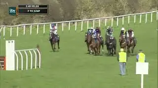 2017 Edinburgh Gin Hcap Hurdle - Kelso