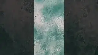 Bacteria in Activia Yogurt, Stay to the end to see super close up 1000x!