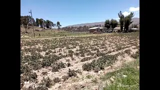 Sequ&iacute;a se extiende en Bolivia y aumentan las familias damnificadas