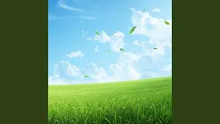 Reset Energy