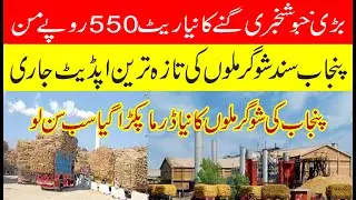 Today big update on sugarcane rate 2025-26 | خوشخبری گنے کا نیاریٹ اور شوگر ملوں کاڈرمہ