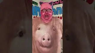 Not the toy pig!