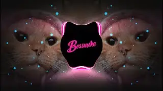 DJ PREDADOR PERERECA REMIX VIRAL TIKTOK (BOSSMIKE BEATS REMIX)