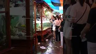 Exploring a Traditional Southeast Asian Market of Rare & Exotic Animals &ndash; Culture & Curiosity