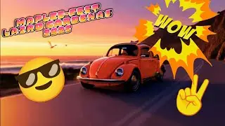 vw vochos split window oval clasicos german bug maples fest 2025
