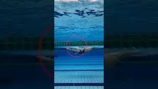🎯 Master the Butterfly Stroke Step by Step!