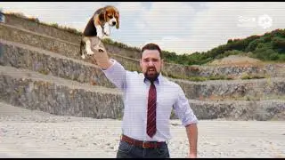 Guy gets bit by beagle 