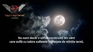 010 &Icirc;NGERI VAGABONZI   VECERNIE