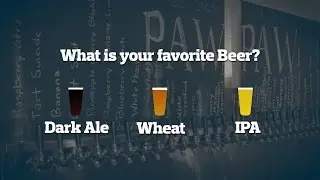 Favorite Beer Poll at the Michigan Summer Beer Festival