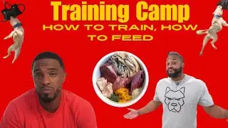 Train Your Dog| Feed a Raw Diet| Training Camp