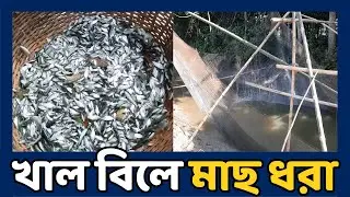 খাল বিলে মাছ ধরার অসাধারণ কৌশল  | Fishing Video | Top 71