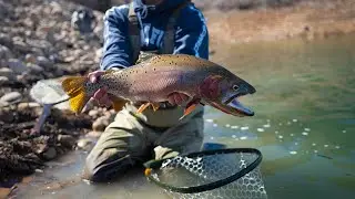 Live Stream: Fly Tying Chironomids For Ice Off