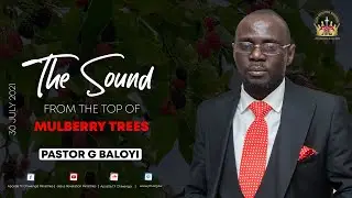 The Sound From The Top Of Mulberry Trees - Revelation Gathering 2 Of 2021 - Pastor G Baloyi.