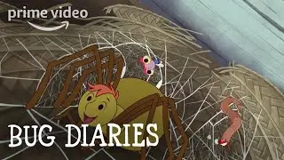 Bug Diaries Season 1, Part 1 - Clip: Spider&rsquo;s Vacation House | Prime Video Kids