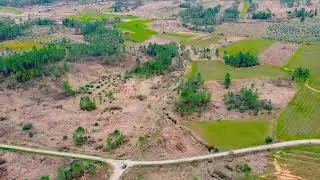 Rural Land for Sale in Portugal | 1.6 Hectares with Building and Stream