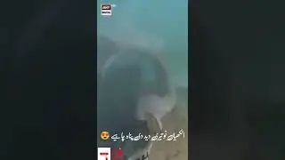 wo pagal si drama ost