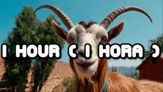 1 Hora de Som de Cabra - 1 Hour of Goat Sound