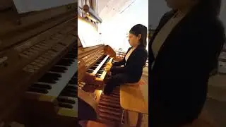 Fej&eacute;r Karolina-Bogl&aacute;rka
