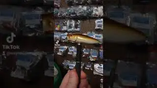 Wayne's custom baits and earrings