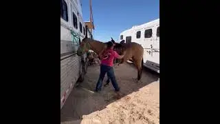 Smooth N Frosted - Hip #106 in the Pink Buckle Sale October 7th - Doing all the basics
