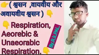#sciencezone(p.c.c) Respiration ( श्वसन) Aerobic & unaeorabic Respiration वायवीय श्वसन,By.R.K.PAL.