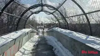  Braving the Cold: A Peaceful Winter Walk❄️ Complete Silence#winterwalk #peacefulwalk #snowambience