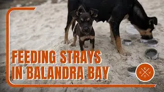 Bouncing Around Balandra Bay | SV Ramble On