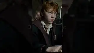 Harry Potter x Y/n Black pov (Y/n got her father's side of the family genes) part 3