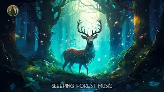 Magical Mushroom Forest Music | Forest Ambience Music, Nature Sounds 》Relax, Sleep, Healing