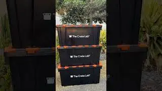 Miami to Tweed Heads Move 🌊 Using The Crate Labs!  #movingday #packermover